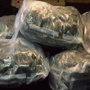 Ganja peddlers sentenced to three years rigorous imprisonment