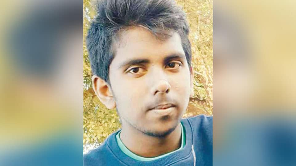 Teenager killed in road mishap