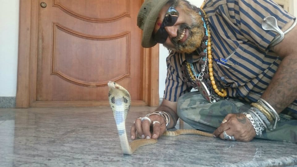 Snake Shyam rescues Cobra from house