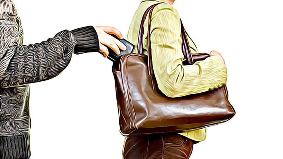 Miscreants snatch vanity bag containing valuables from woman