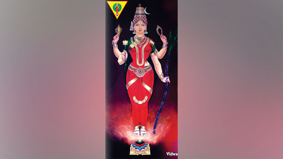 8th Sri Vasanta Navaratri Mahotsava by Trayinyas’