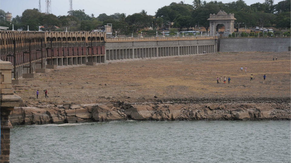 Cauvery water: TN moves SC for its share