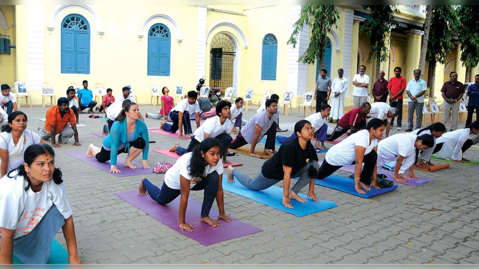 Mysore Yoga Association hosts Mass Suryanamaskara