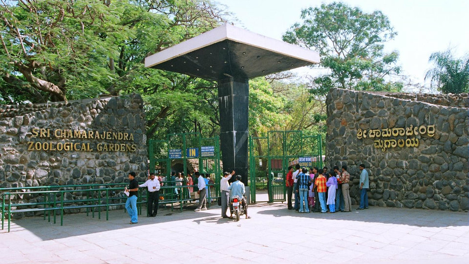 Bharatiya Reserve Bank Note Mudran renews animal adoption at city Zoo