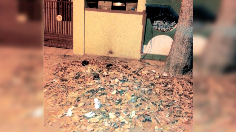 Plea to clear garbage in front of house at N.R. Mohalla
