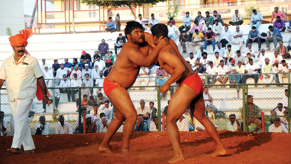 Dasara Wrestling Contest in city from Oct.10 to 14