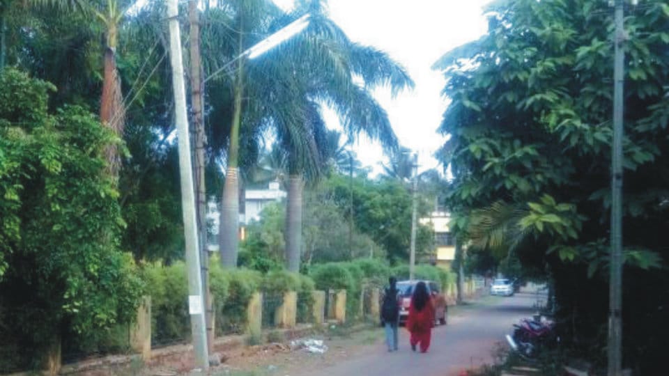 Street lights around Kamakshi Hospital switched on even before sunset
