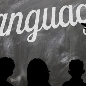 Languages are the gateways to the world