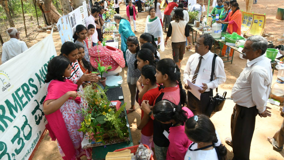 Chinnara Mela: Children taken on plant tour
