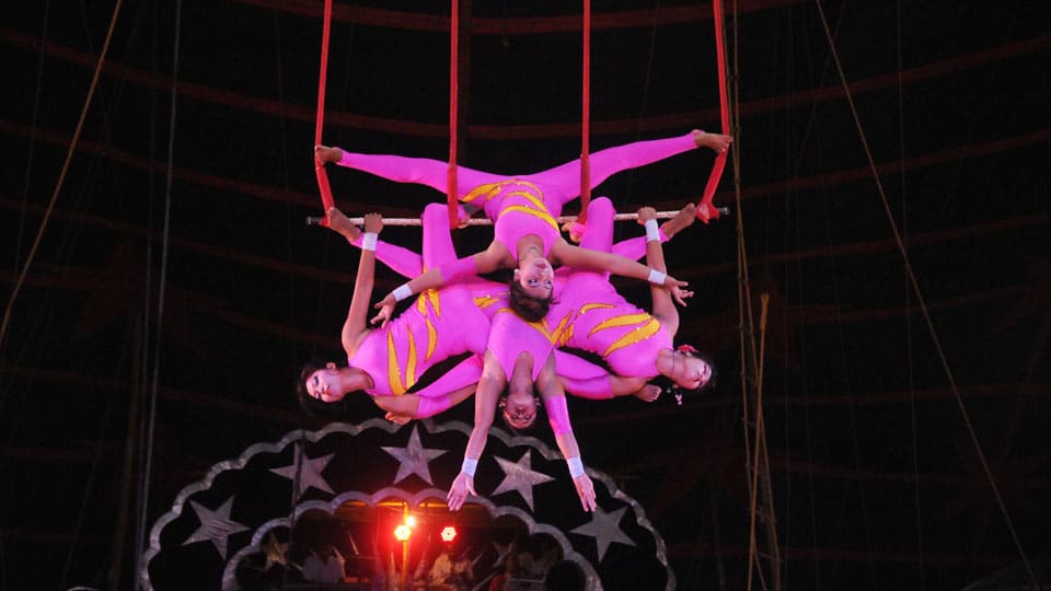 After ban on use of wild animals: Circus artistes take to daring acrobatic feats