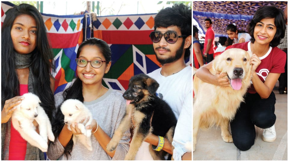 Vidyuth-2017 plays host to Dog Show