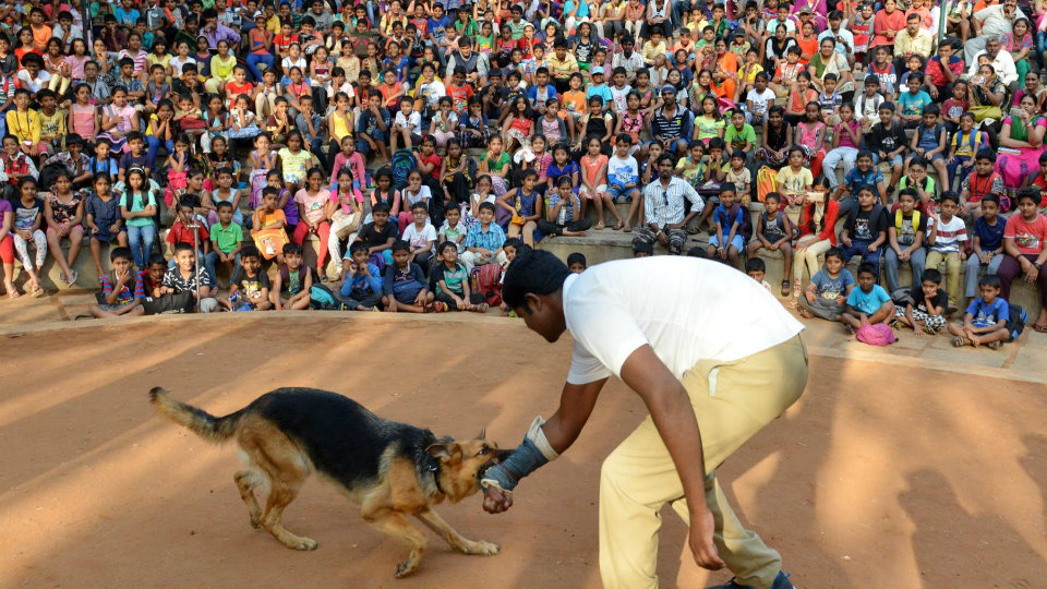 Police dogs steal show at Chinnara Mela