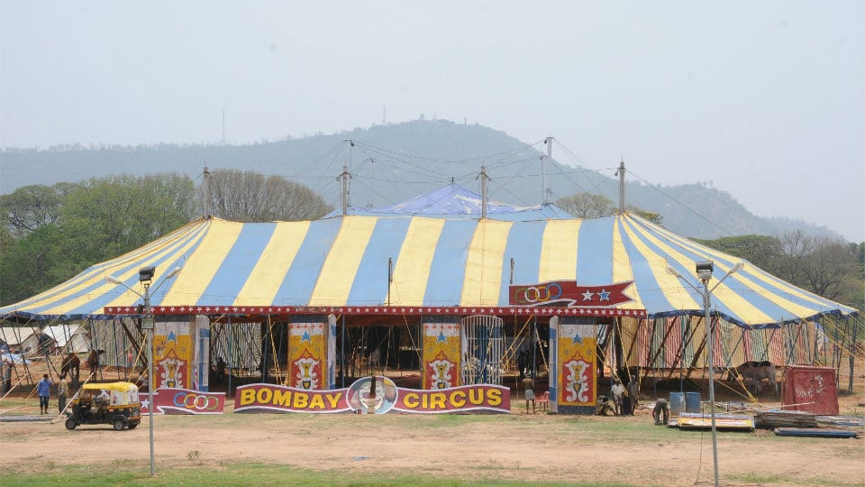 Great Bombay Circus comes to town