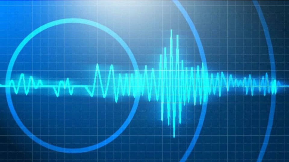Earthquake of 3.4 magnitude hits Hassan district