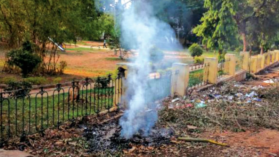Stop burning garbage near JSS Law College