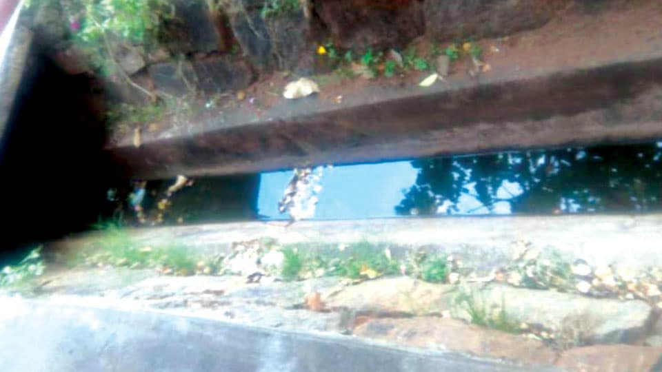 Plea to clear stagnant water in Lakshmipuram