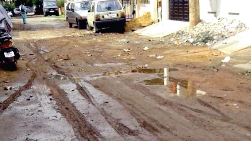 Roads in Subhashnagar crying for attention
