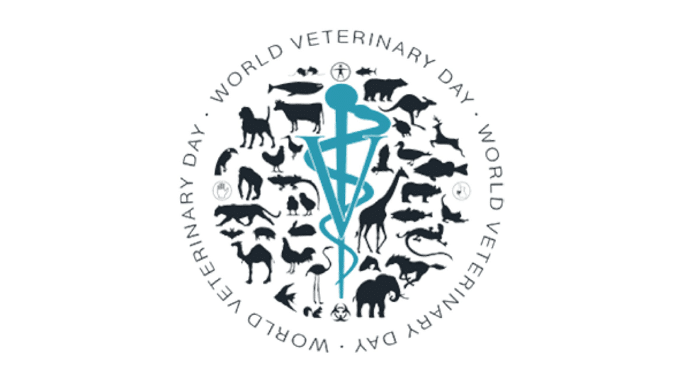 World Veterinary Day on Apr.29: Musings on Veterinary Profession