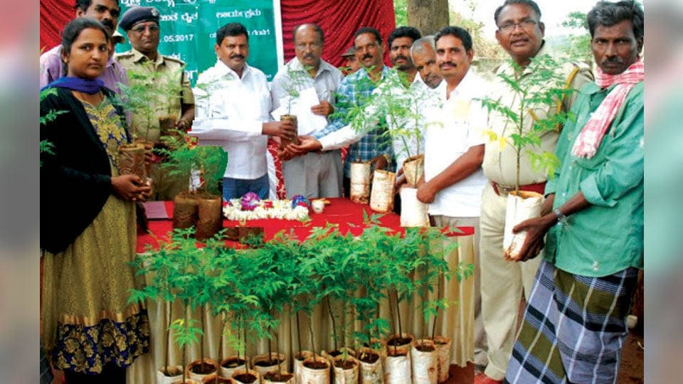 Hunsur MLA calls for planting saplings
