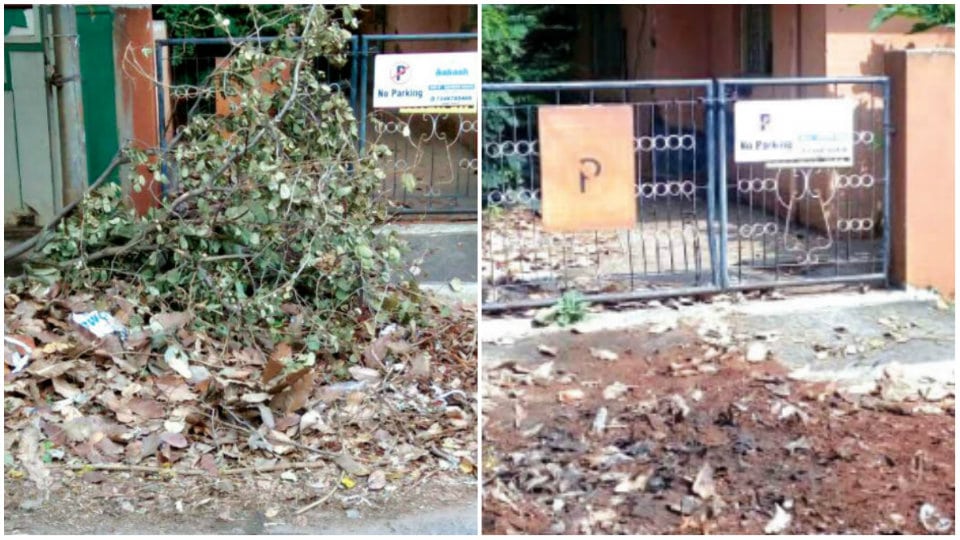 MCC clarifies Clear garbage on Anikethana Road in Kuvempunagar