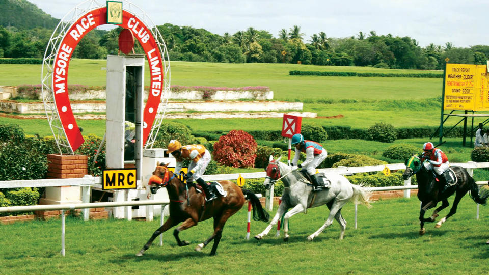 Mysore Summer Races from May 24