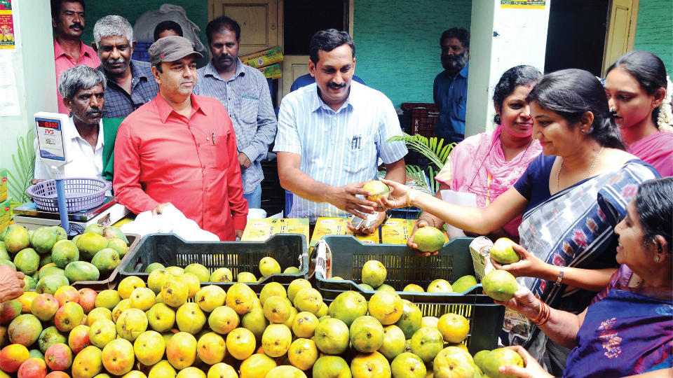 Mango and Jackfruit Mela begins in city