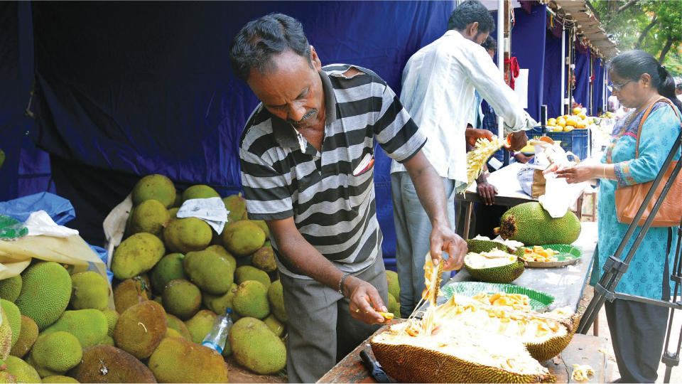 Jackfruit Festival from tomorrow