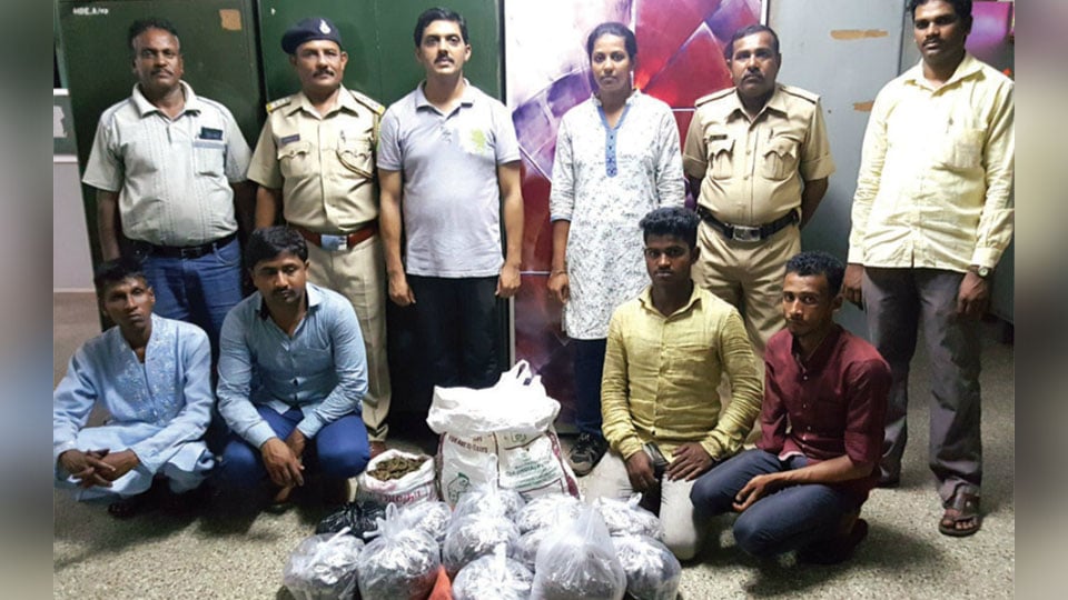 Four arrested for selling and storing ganja