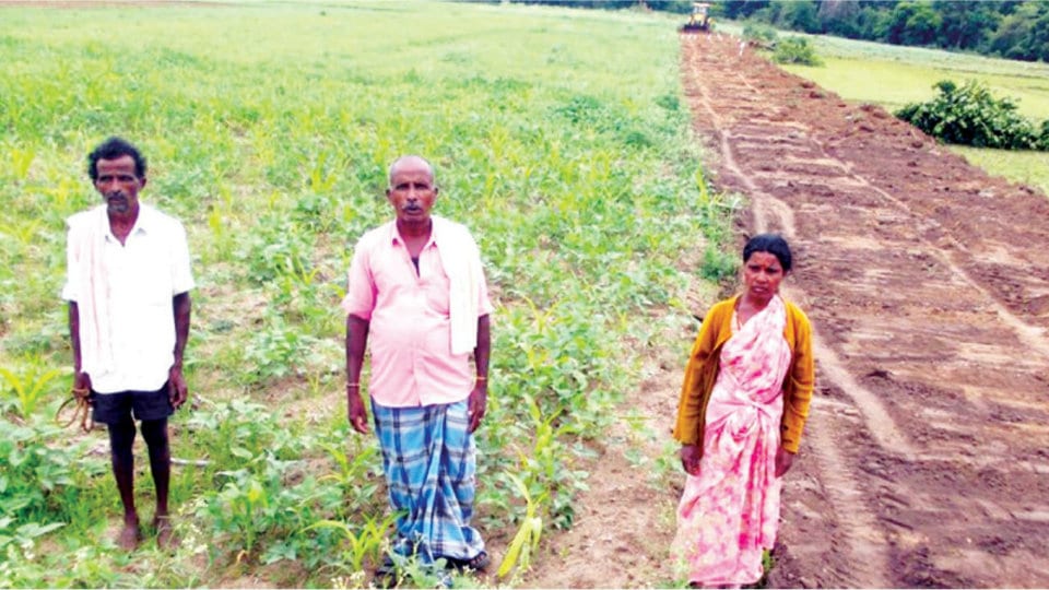 Farmer pays a heavy price for CM’s development works