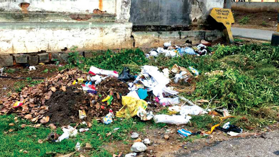 Clear garbage pile on Vinaya Marga in Siddartha Layout