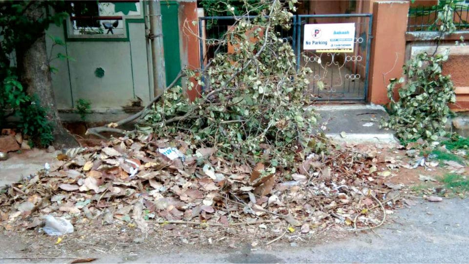 Clear garbage on Anikethana Road in Kuvempunagar