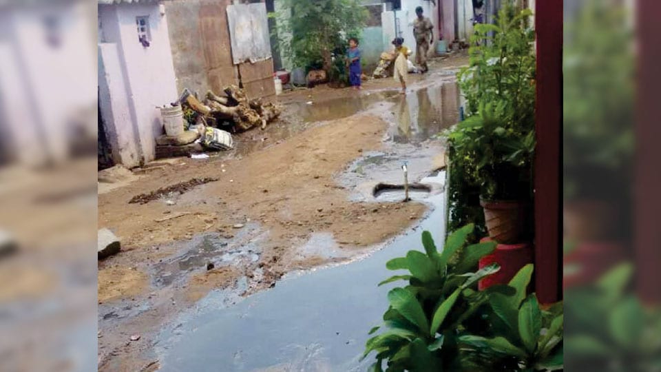 Plea to clear stagnant water at AJ Block in NR Mohalla