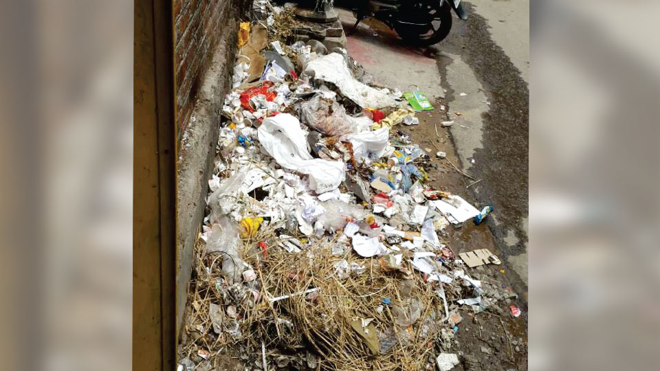 Plea to clear garbage pile on Noor Ali Sha Makan Road