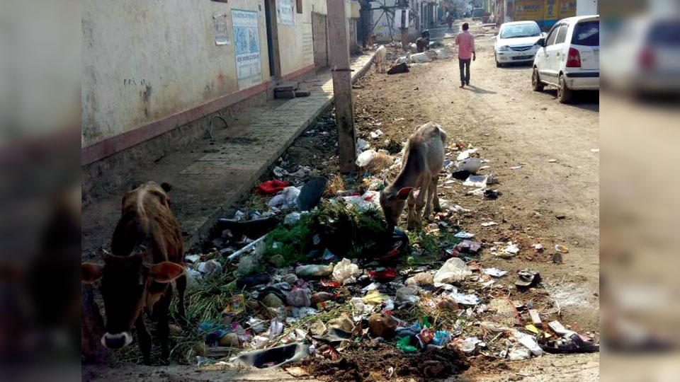 Plea to clear stinking garbage pile at Sunni Chowk