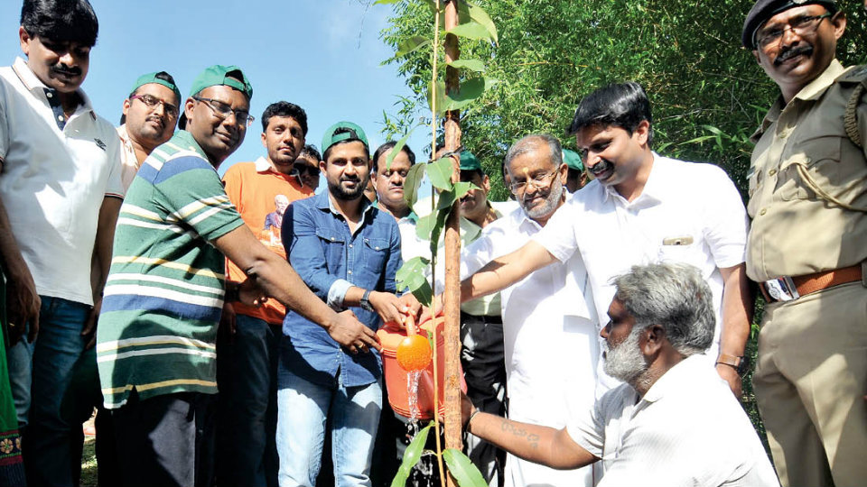 MP launches planting of saplings around Ch’Hill
