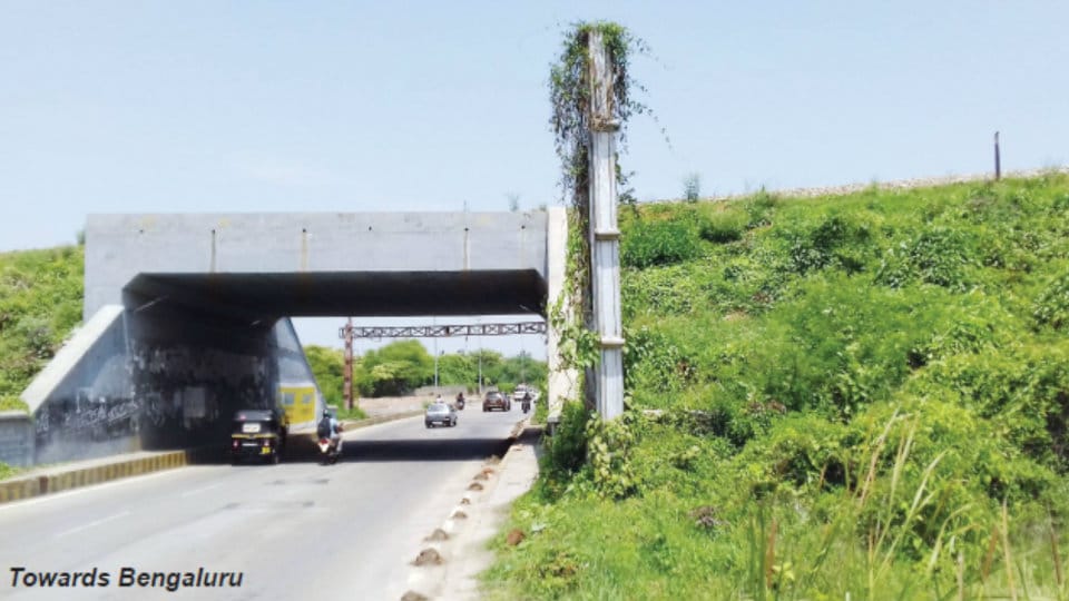Expedite underpasses works on Outer Ring Road, says expert