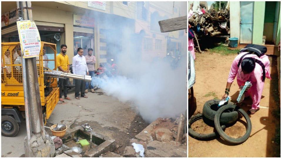 Dengue scare: MCC takes up fogging work