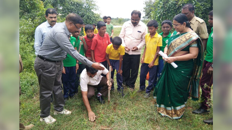 Navodaya Schools launch mega seed ball project