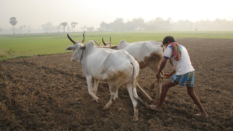 Rajya Sabha passes two farm Bills amid fierce protests