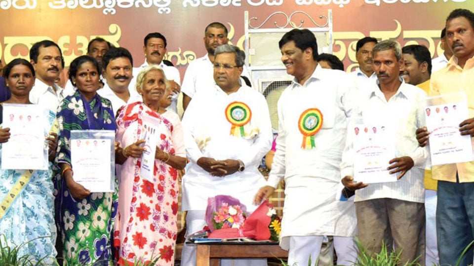 CM distributes cultivation certificates to farmers