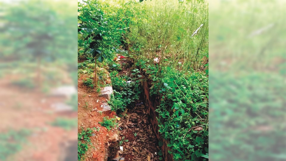 Plea to clear storm water drains at Ramakrishnanagar