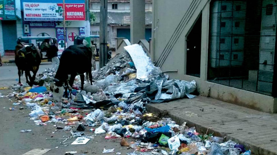Residents urge to clear garbage on Narayan Shastry Road