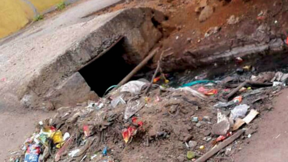 Plea to cover drains in K.N. Pura