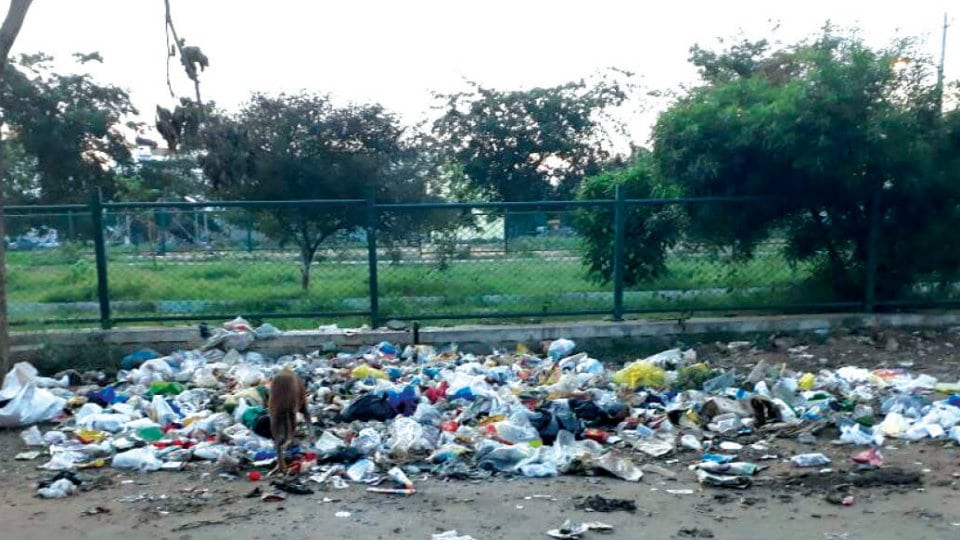 Urge to clear garbage near Hebbal Choultry