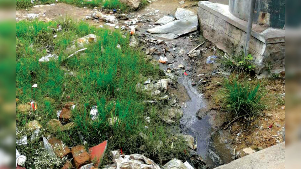 Plug overflowing sewage water at Bandipalya APMC Yard