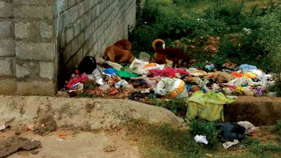 Plea to clear garbage pile at Hebbal