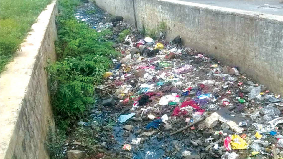 This drain in B.M. Sri Nagar needs to be cleaned