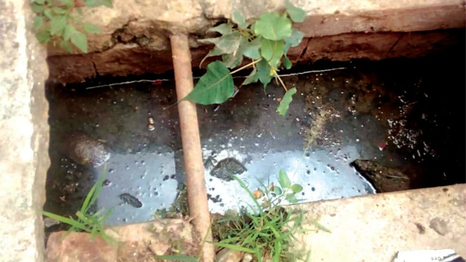 Plea to clear blocked drains in Tilaknagar