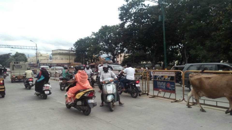 Chaotic traffic on Sayyaji Rao Road, thanks to unruly motorists