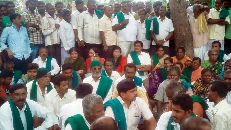 Farmers up in arms: Hundreds stage protests in Mandya, Mysuru